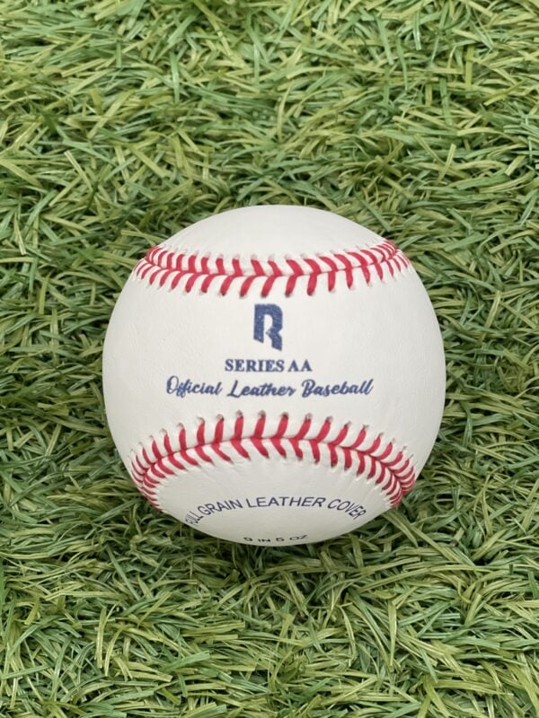 RECKEN AA Series 9 Inch Leather Baseball (Single)